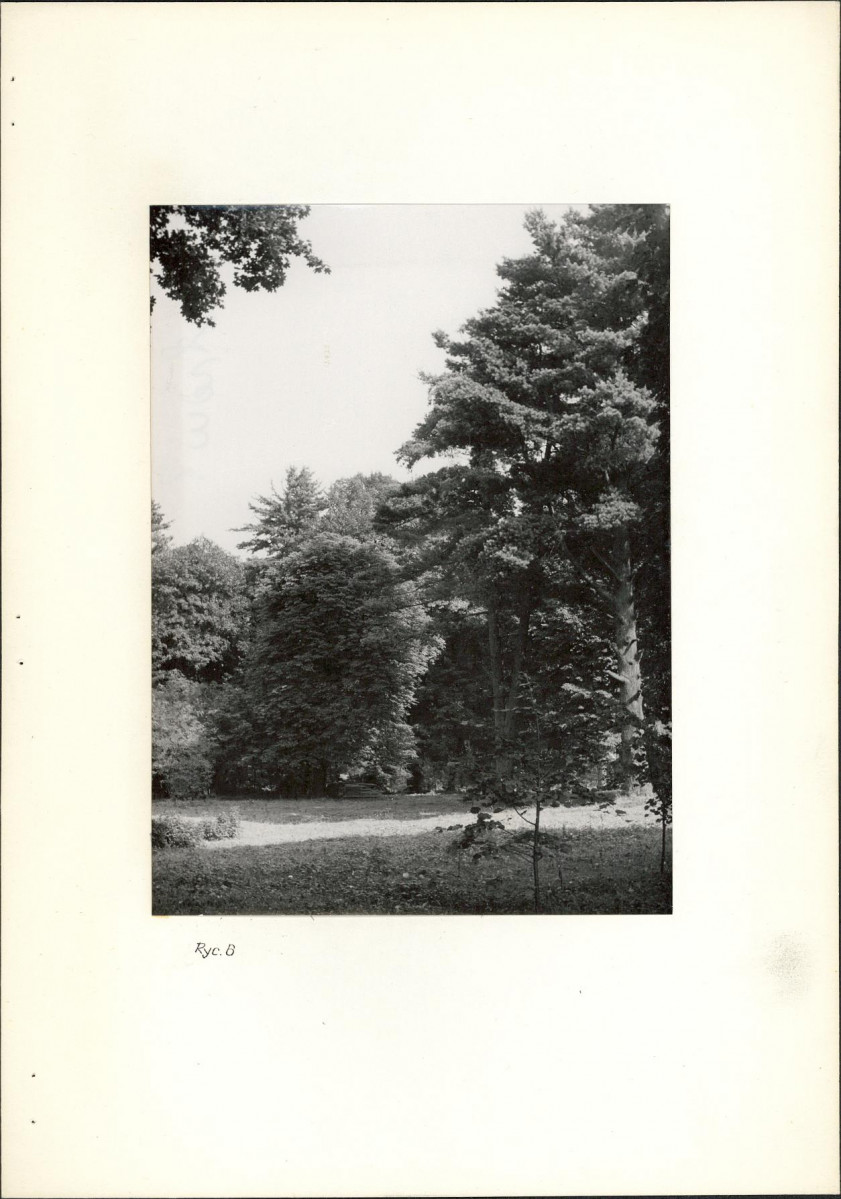 Ewidencja parkowa, skan nr 17