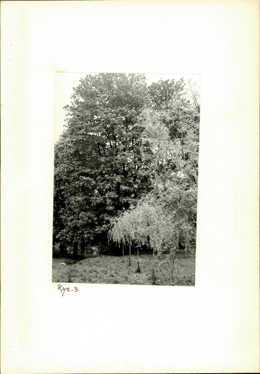 Ewidencja parkowa, skan nr 13