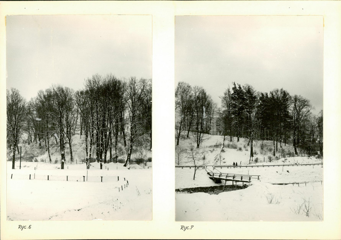 Ewidencja parkowa, skan nr 15