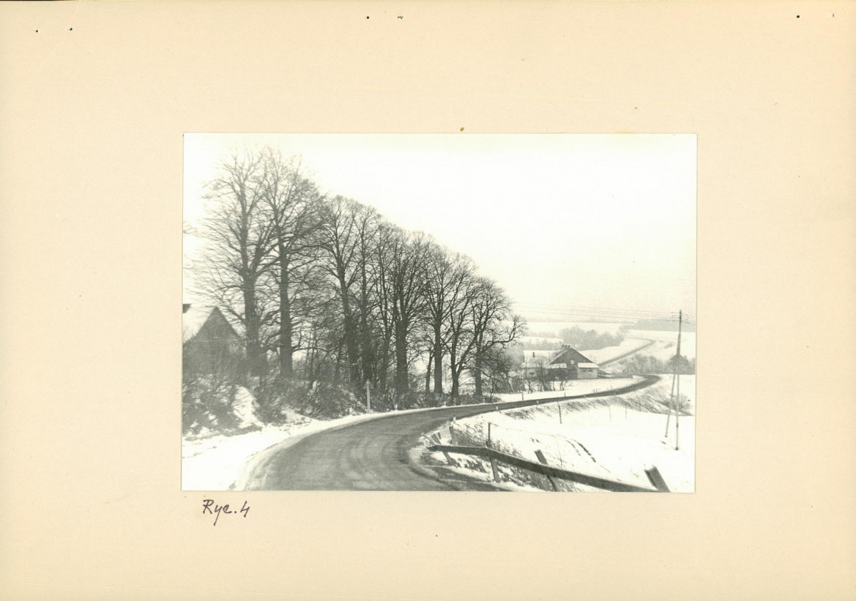 Ewidencja parkowa, skan nr 10