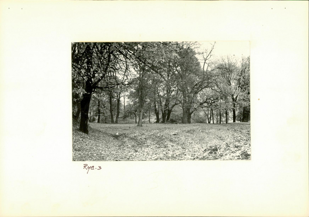 Ewidencja parkowa, skan nr 16