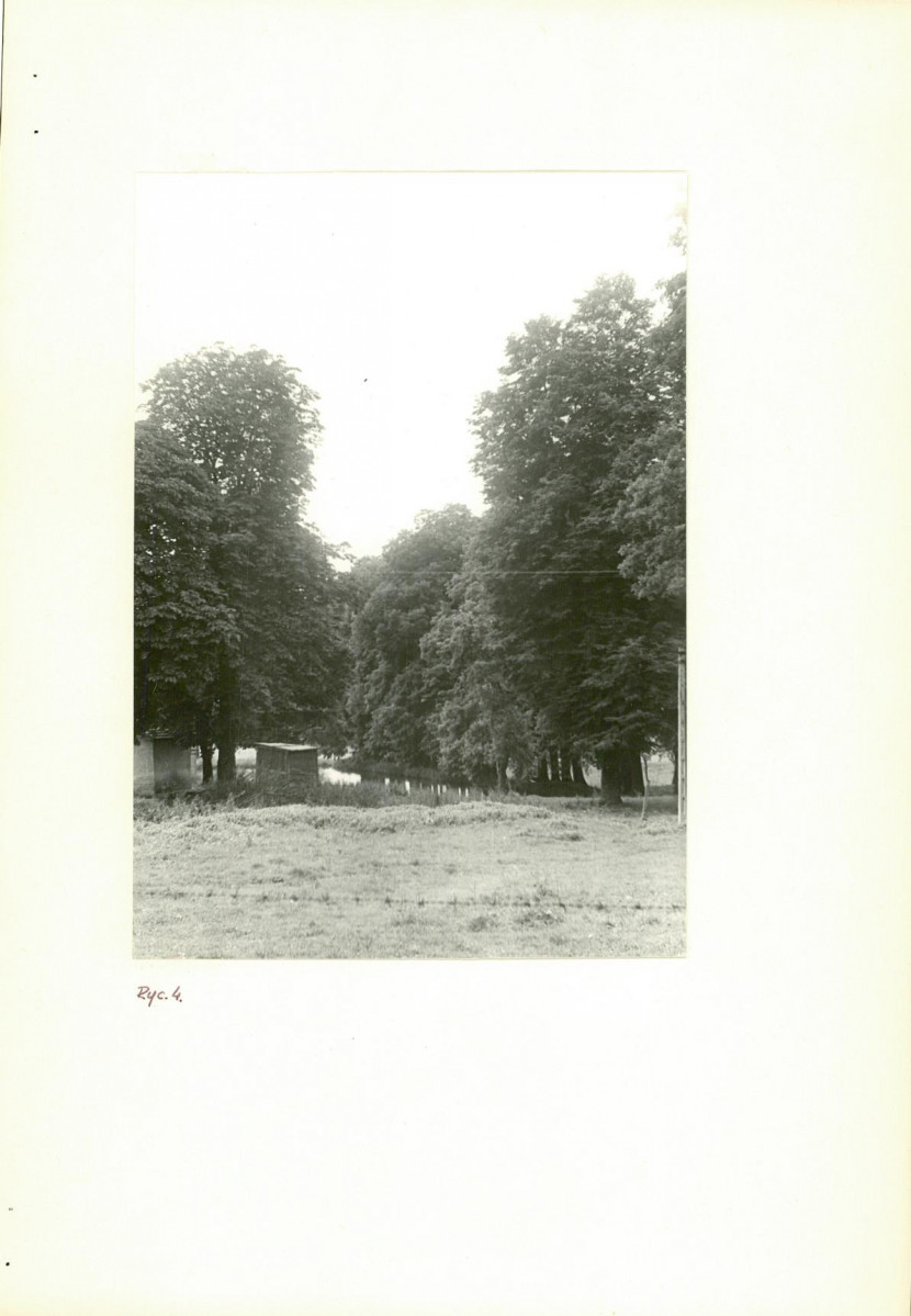 Ewidencja parkowa, skan nr 17