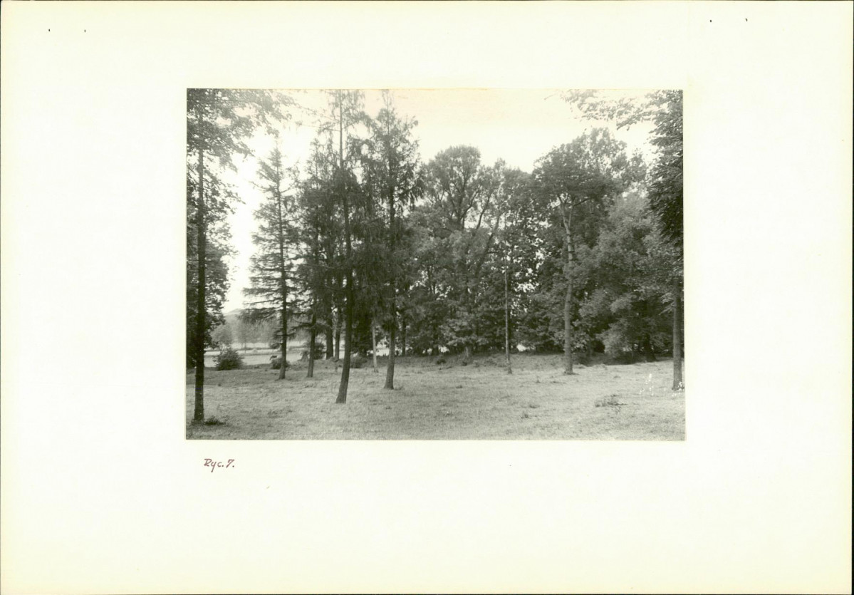 Ewidencja parkowa, skan nr 20