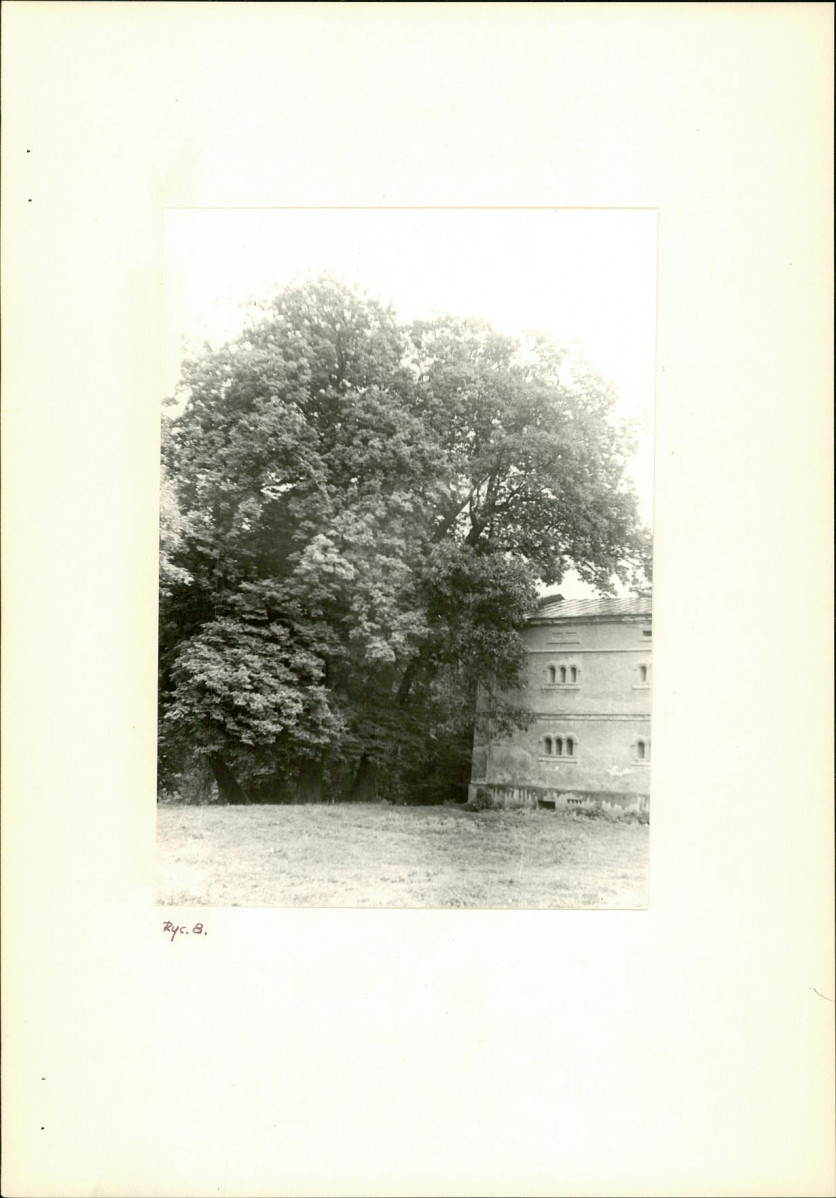 Ewidencja parkowa, skan nr 21