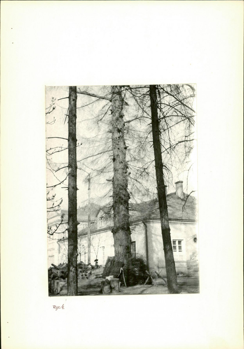Ewidencja parkowa, skan nr 18
