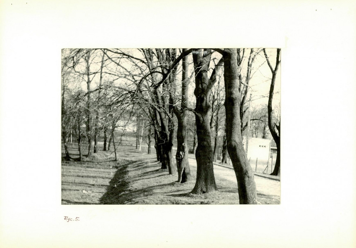 Ewidencja parkowa, skan nr 19