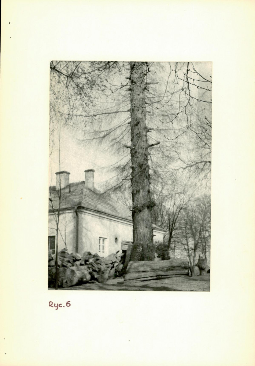Ewidencja parkowa, skan nr 20