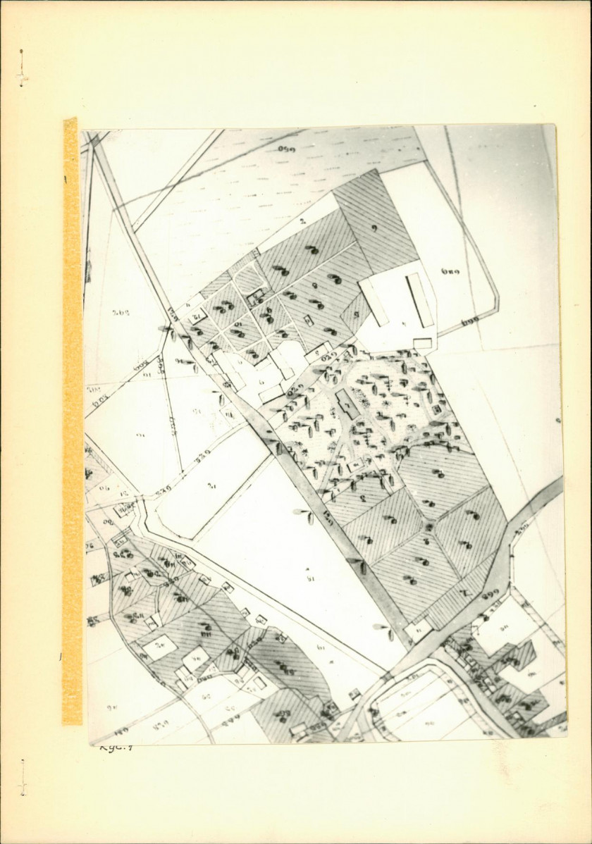 Ewidencja parkowa, skan nr 13