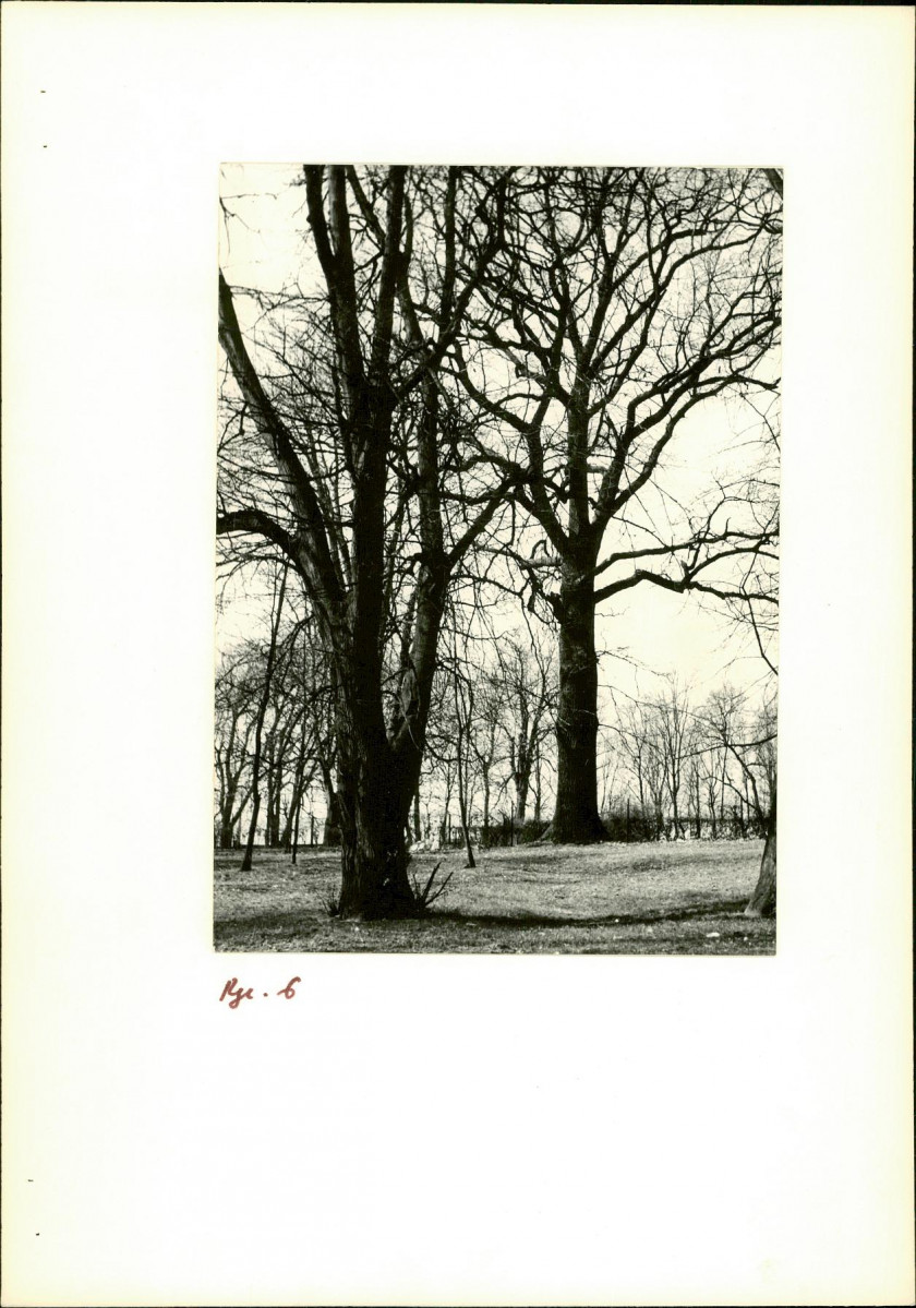 Ewidencja parkowa, skan nr 19