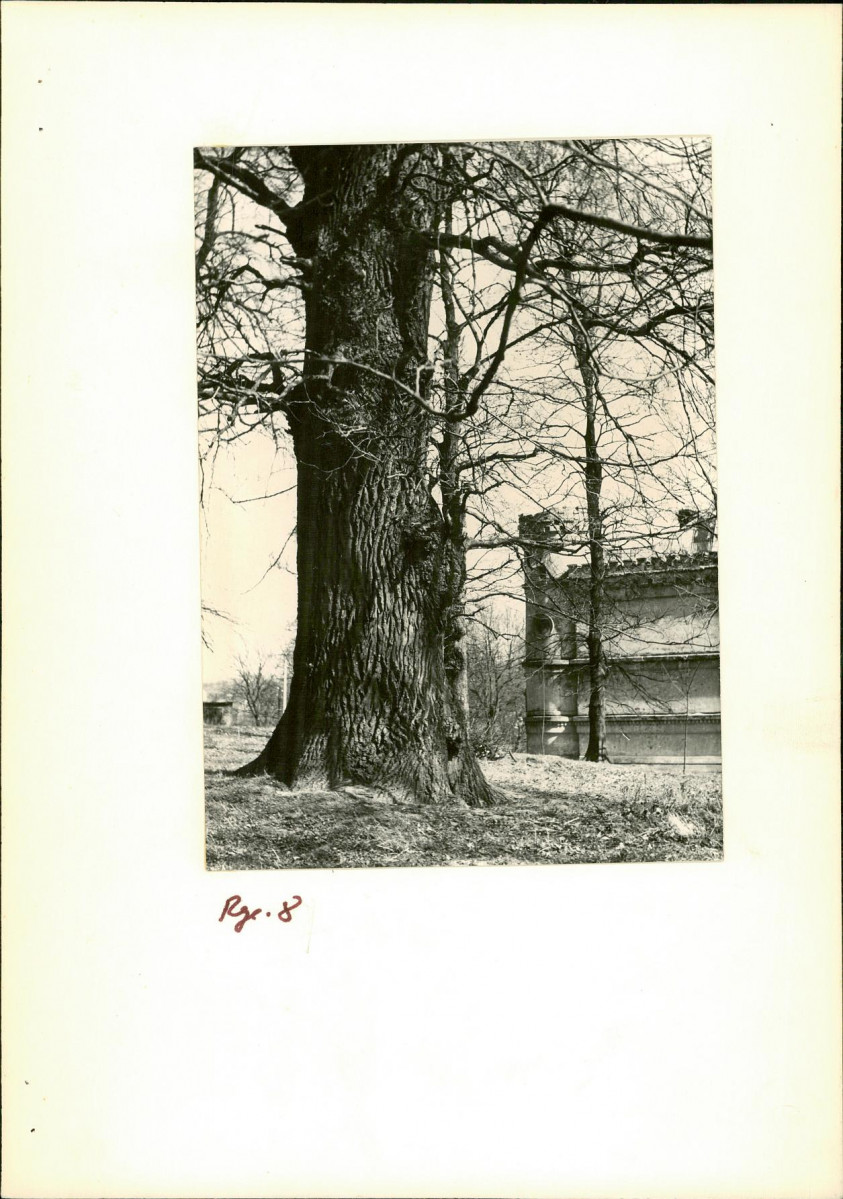 Ewidencja parkowa, skan nr 21
