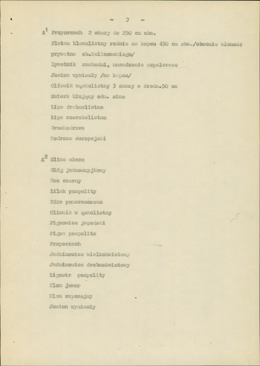 Ewidencja parkowa, skan nr 5