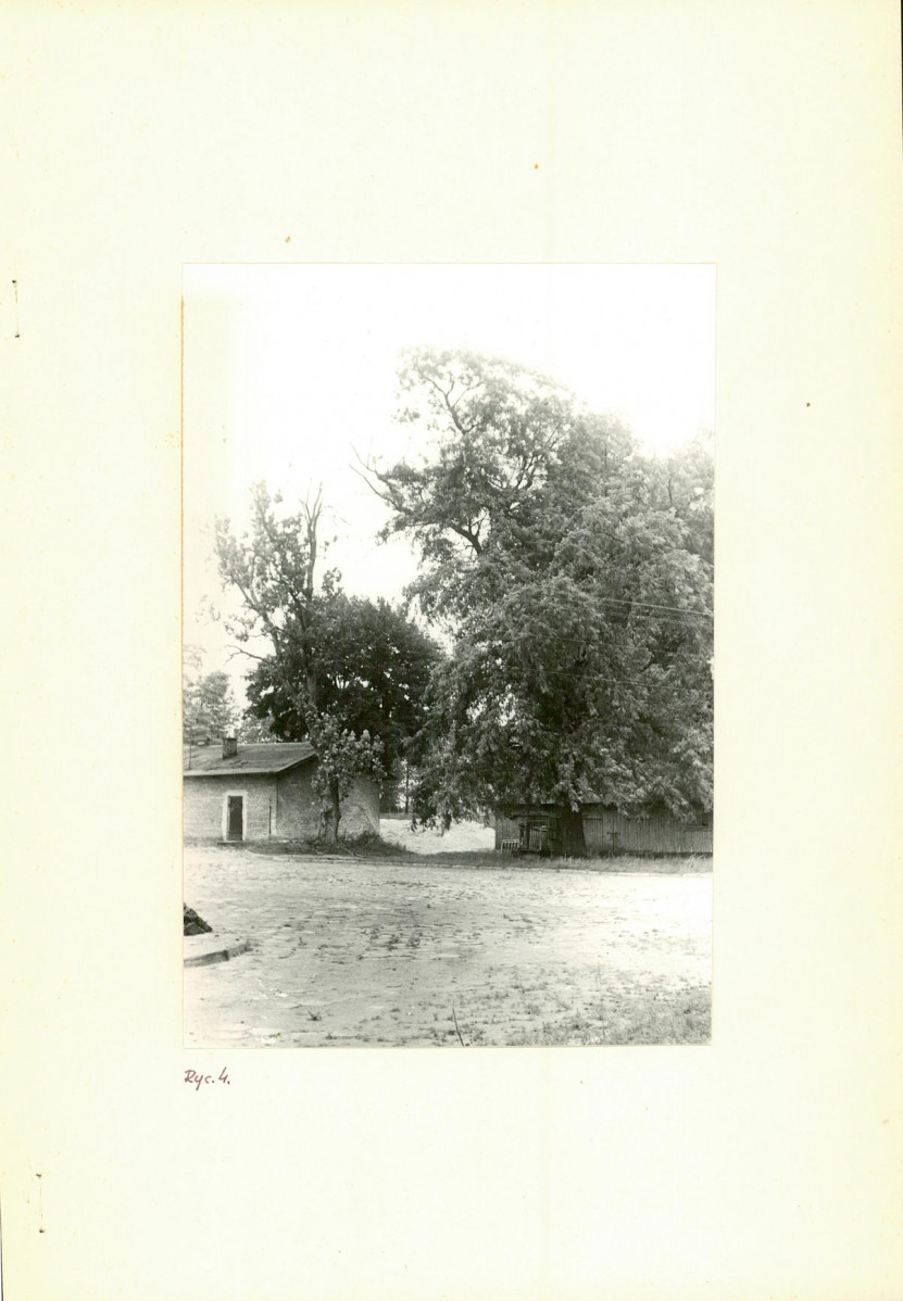 Ewidencja parkowa, skan nr 11