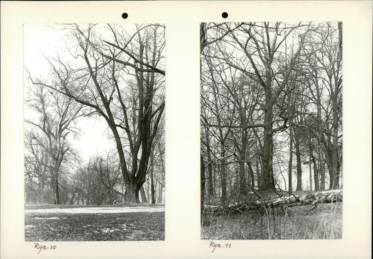 Ewidencja parkowa, skan nr 21