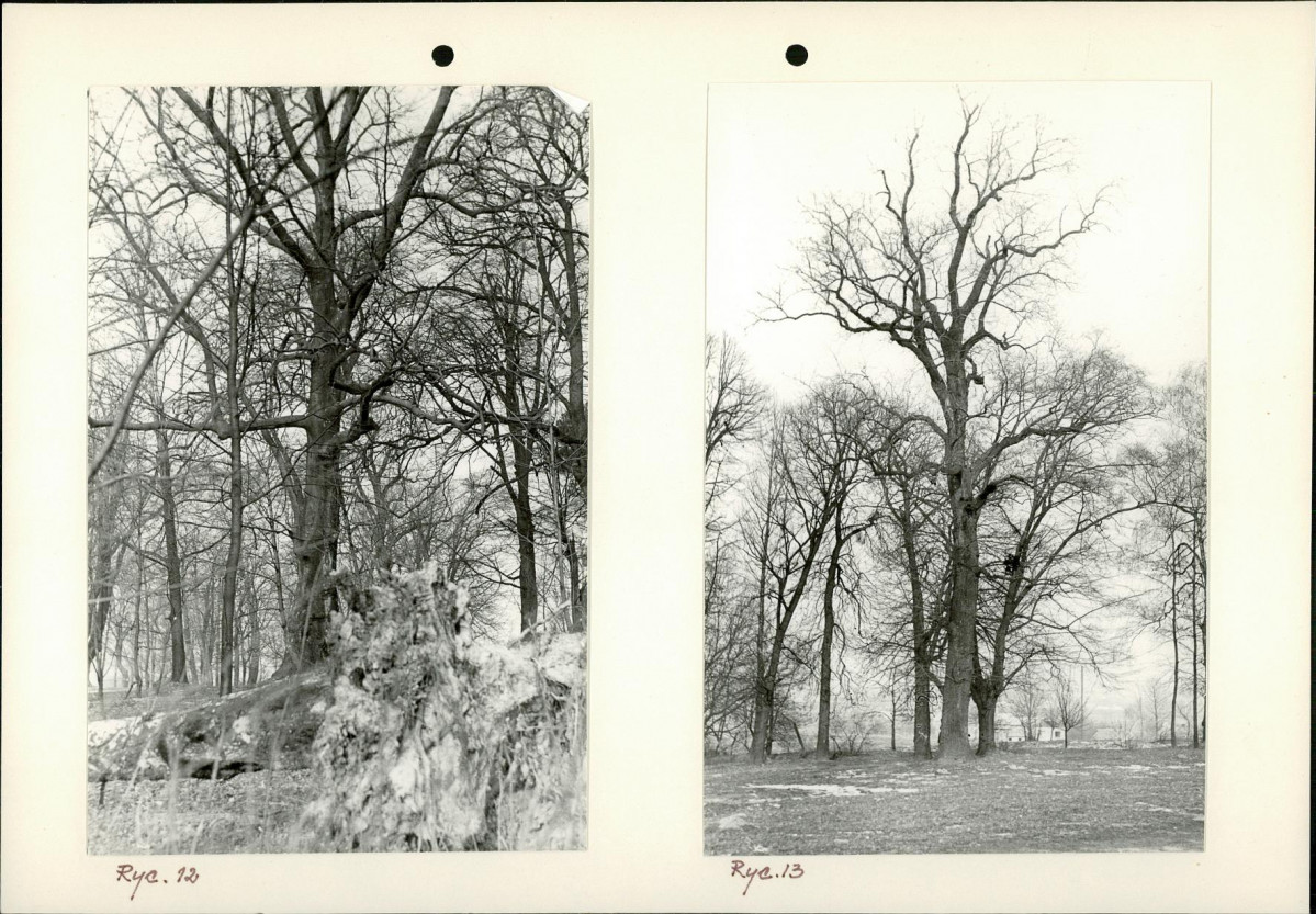 Ewidencja parkowa, skan nr 22