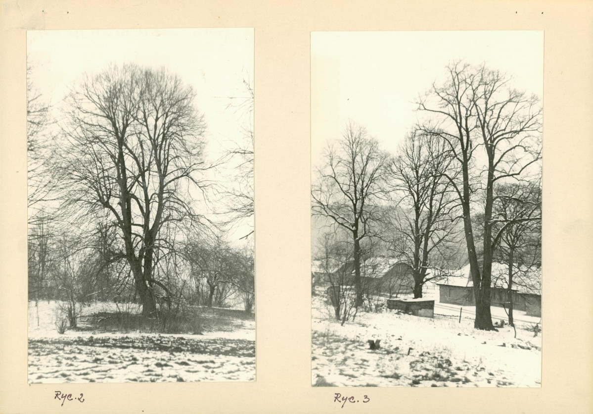 Ewidencja parkowa, skan nr 11