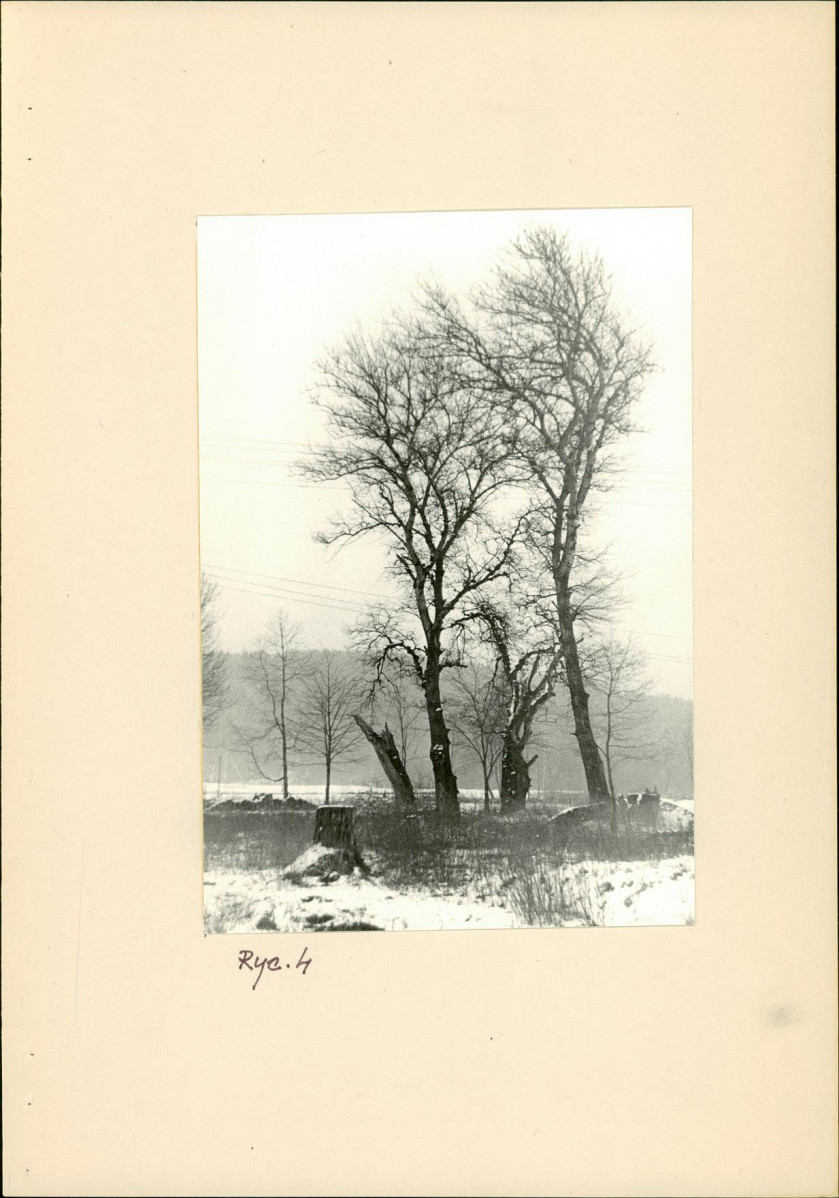 Ewidencja parkowa, skan nr 12