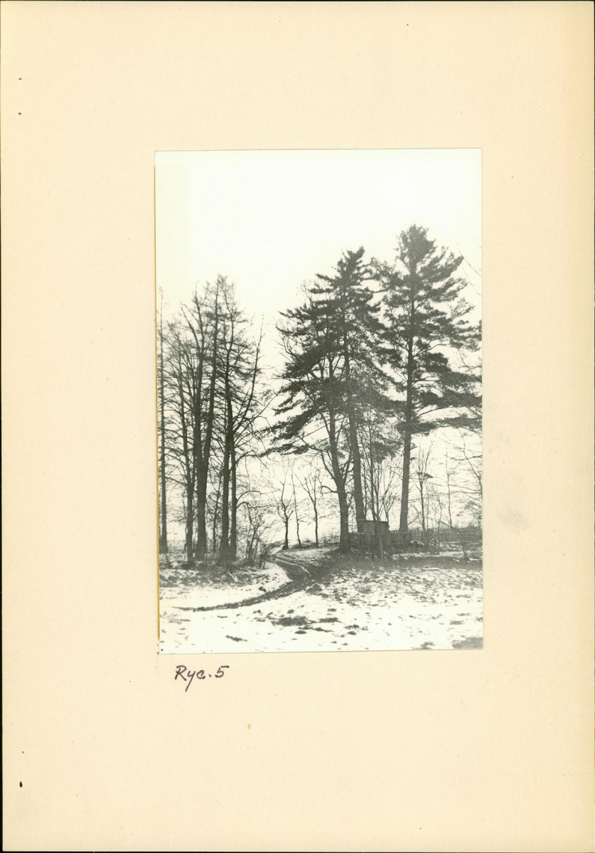 Ewidencja parkowa, skan nr 13