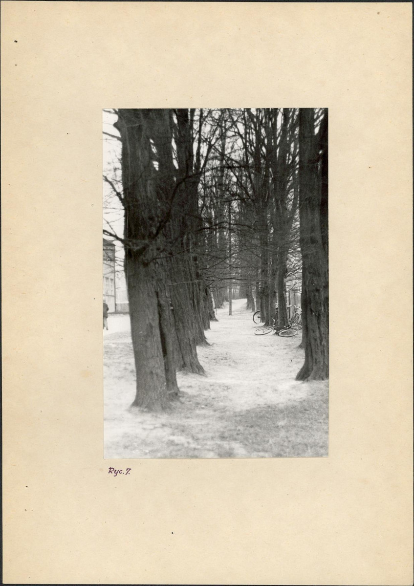 Ewidencja parkowa, skan nr 16