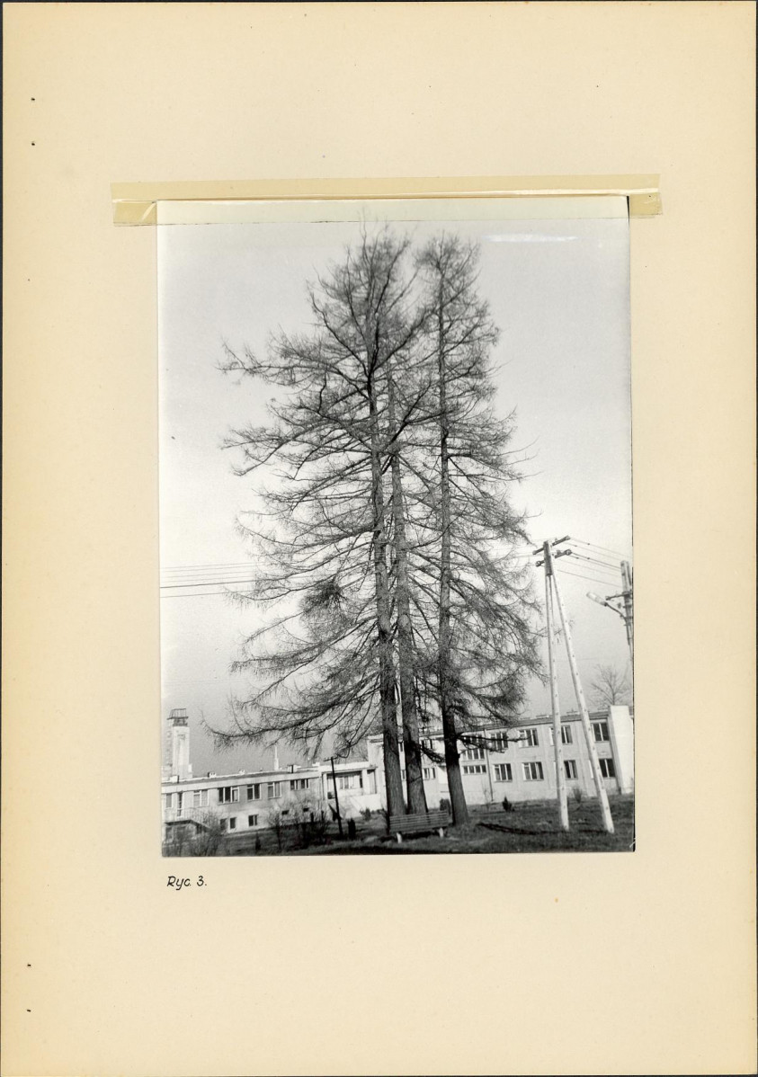 Ewidencja parkowa, skan nr 10