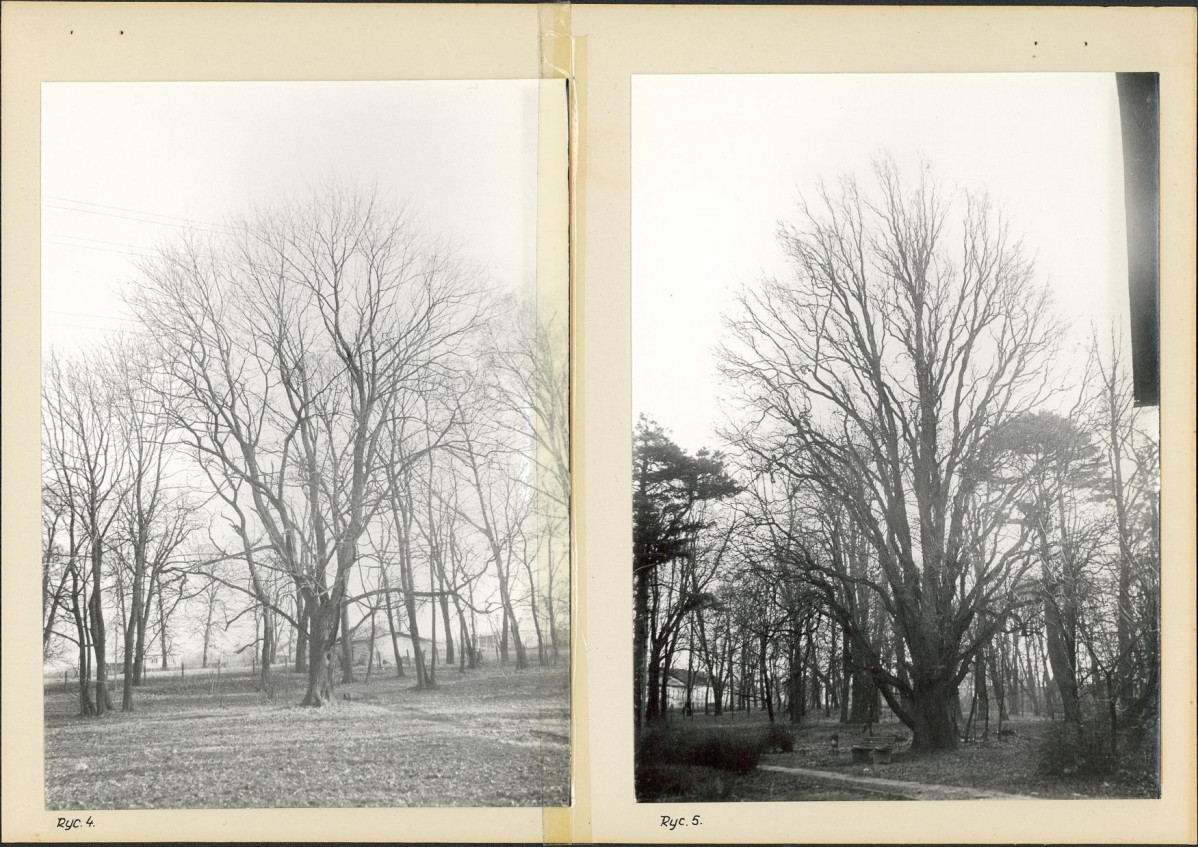 Ewidencja parkowa, skan nr 11