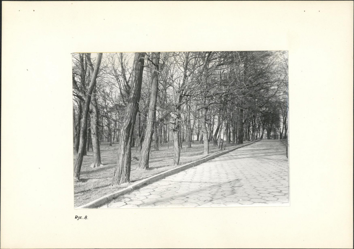 Ewidencja parkowa, skan nr 13