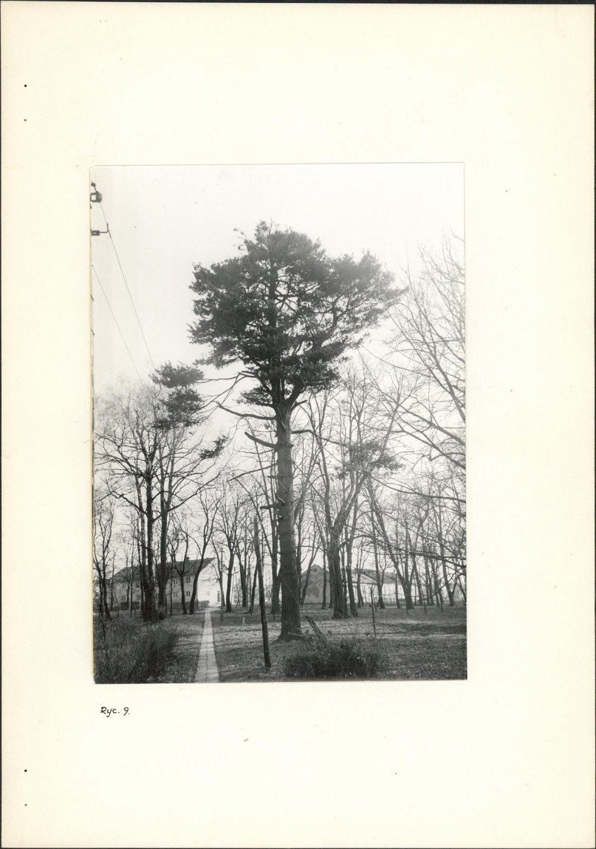 Ewidencja parkowa, skan nr 14