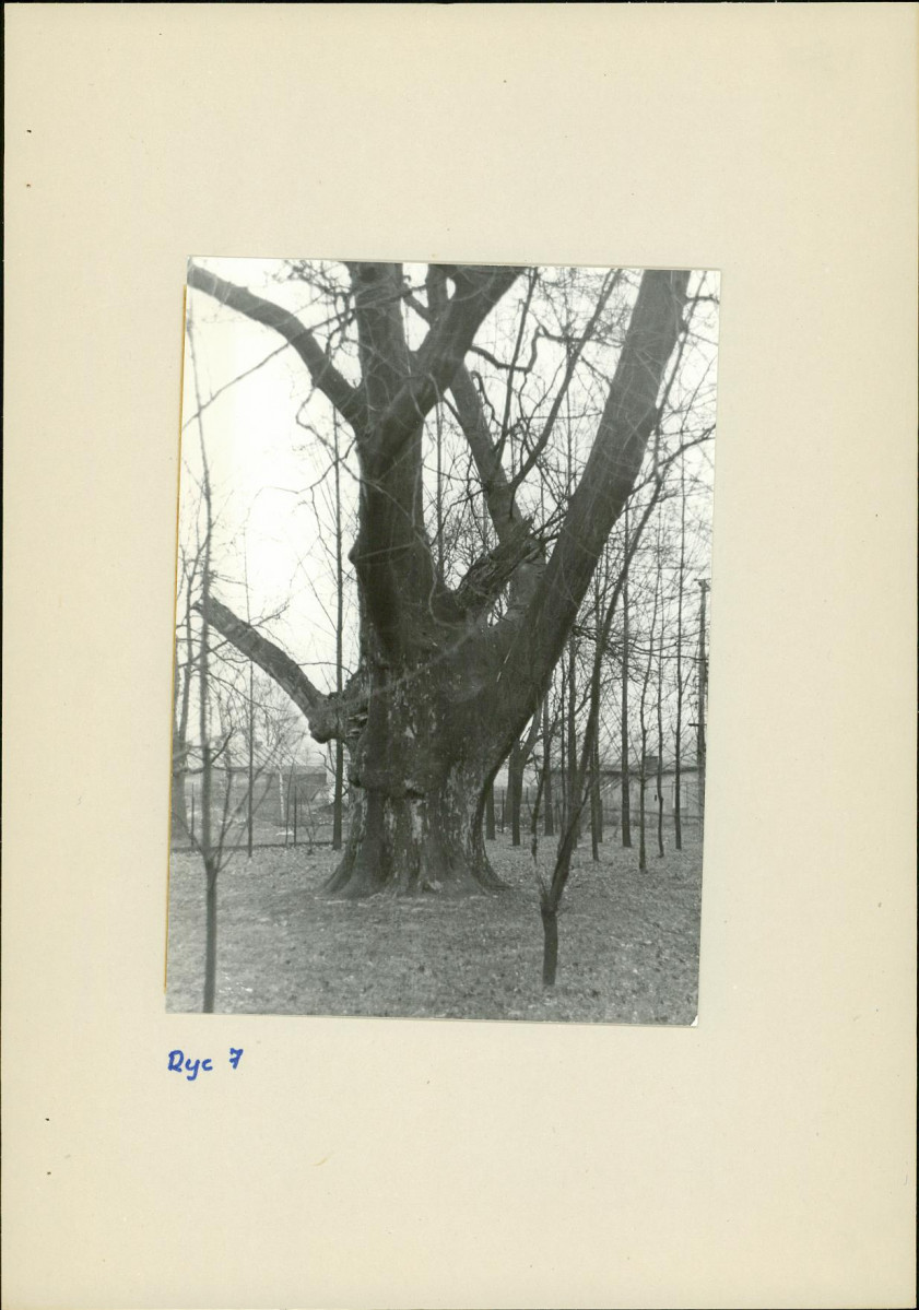 Ewidencja parkowa, skan nr 18
