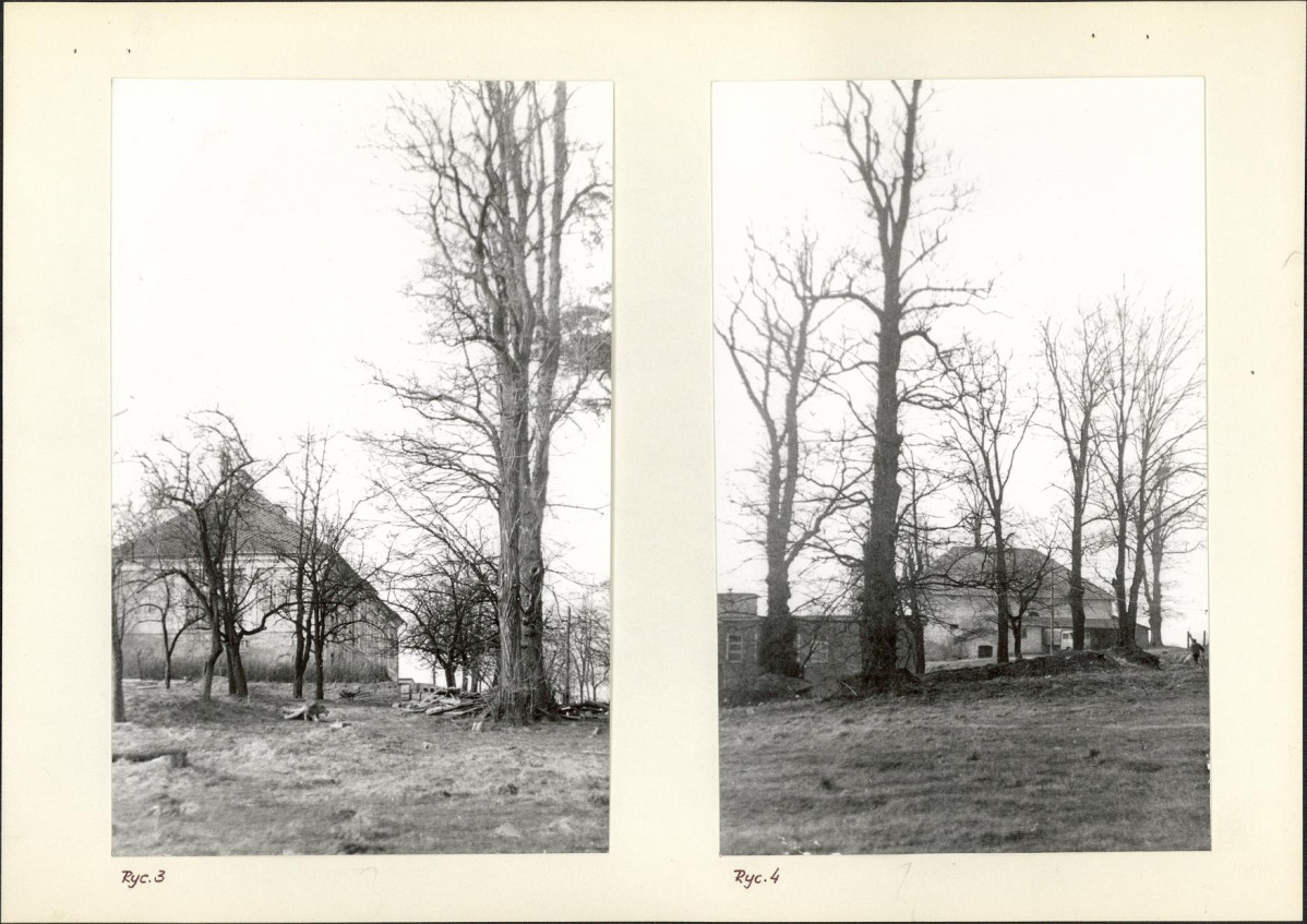 Ewidencja parkowa, skan nr 10