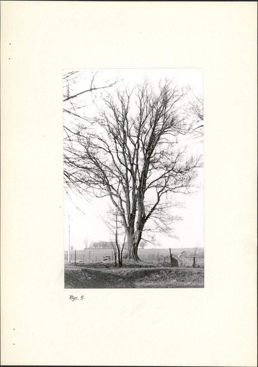 Ewidencja parkowa, skan nr 11