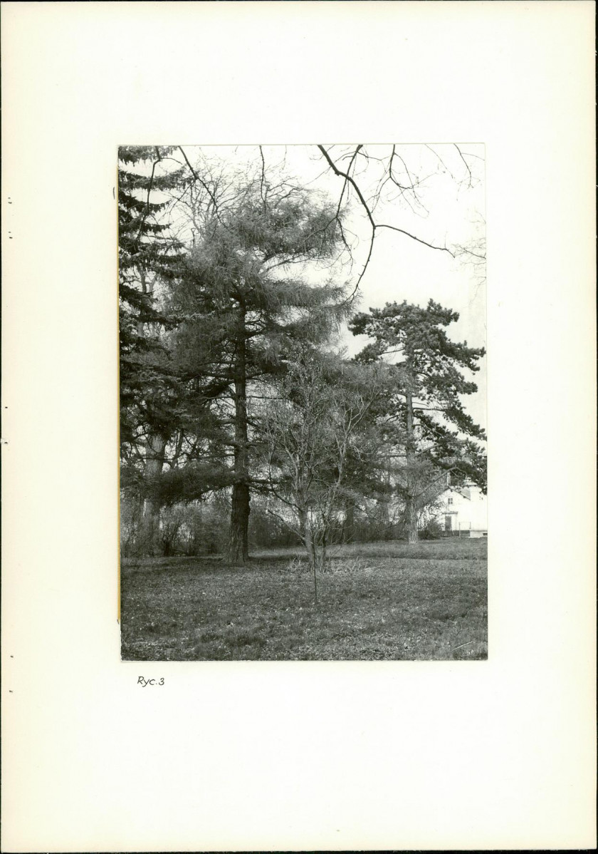 Ewidencja parkowa, skan nr 16