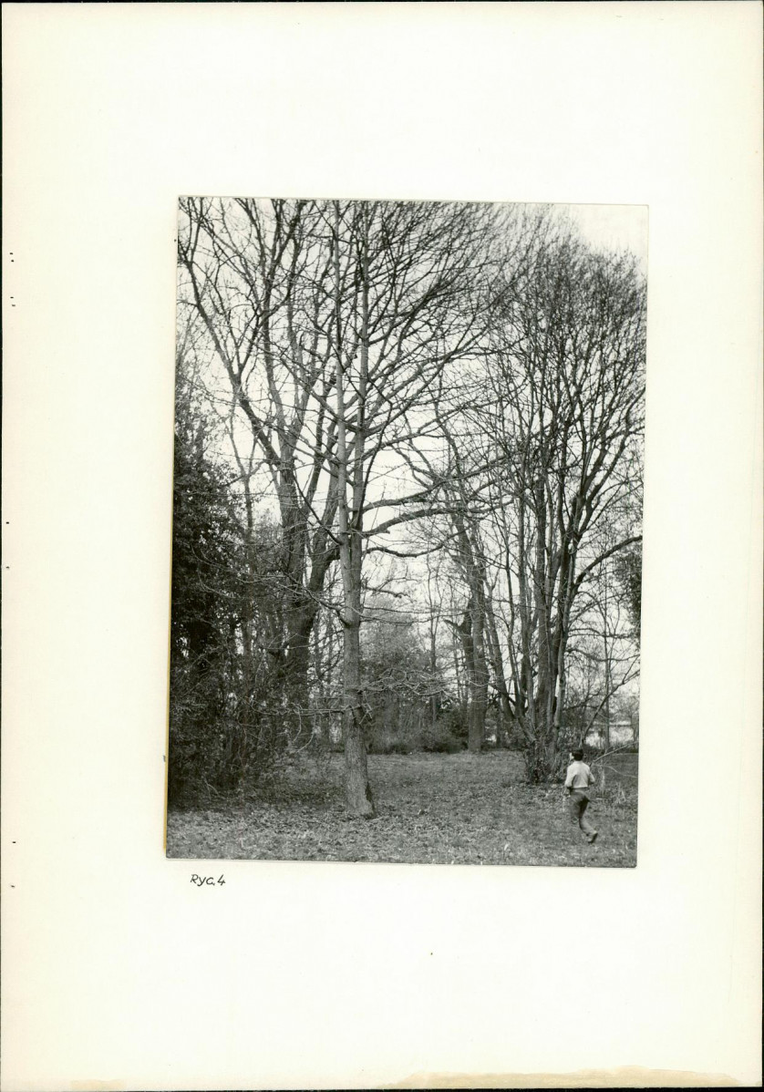 Ewidencja parkowa, skan nr 17