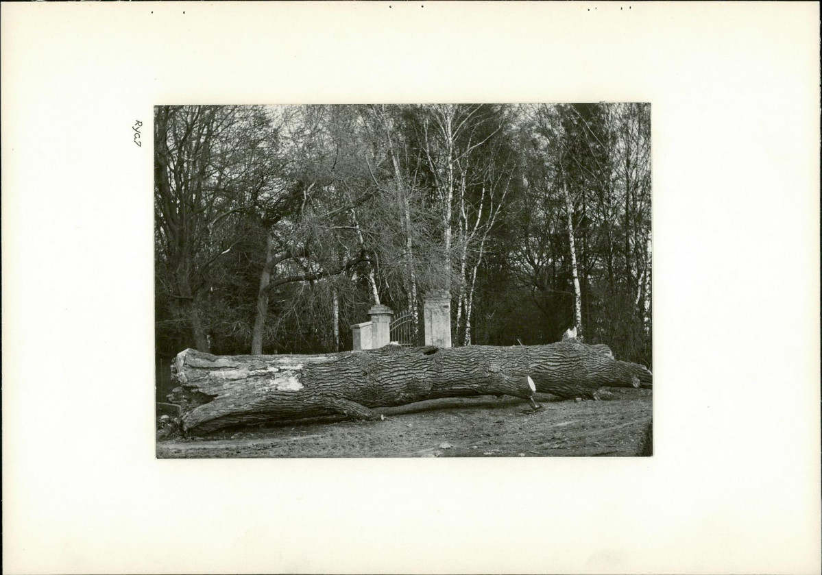 Ewidencja parkowa, skan nr 20