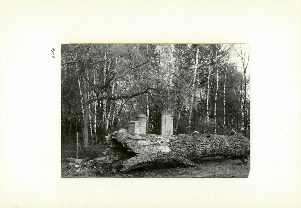 Ewidencja parkowa, skan nr 21