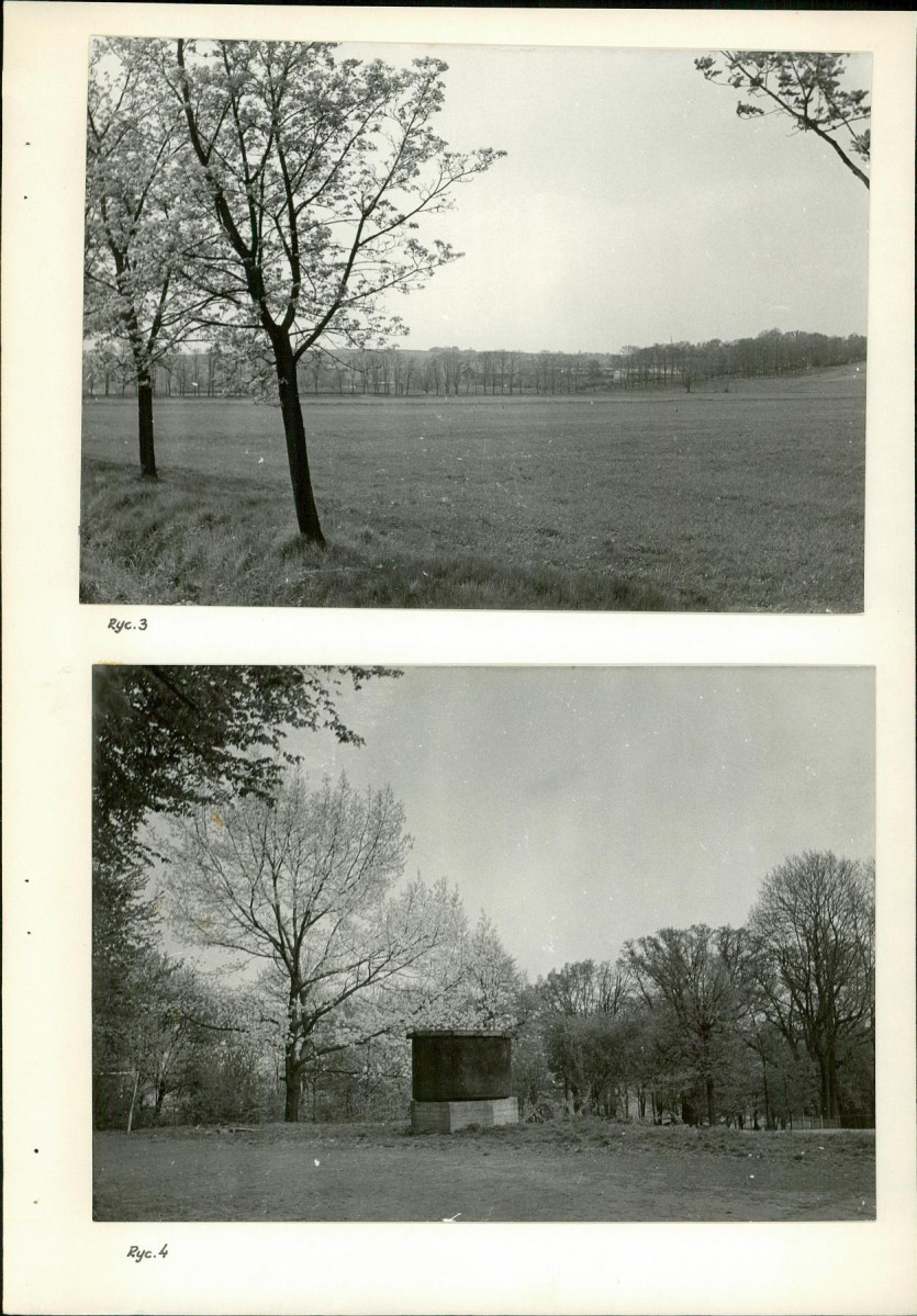 Ewidencja parkowa, skan nr 14