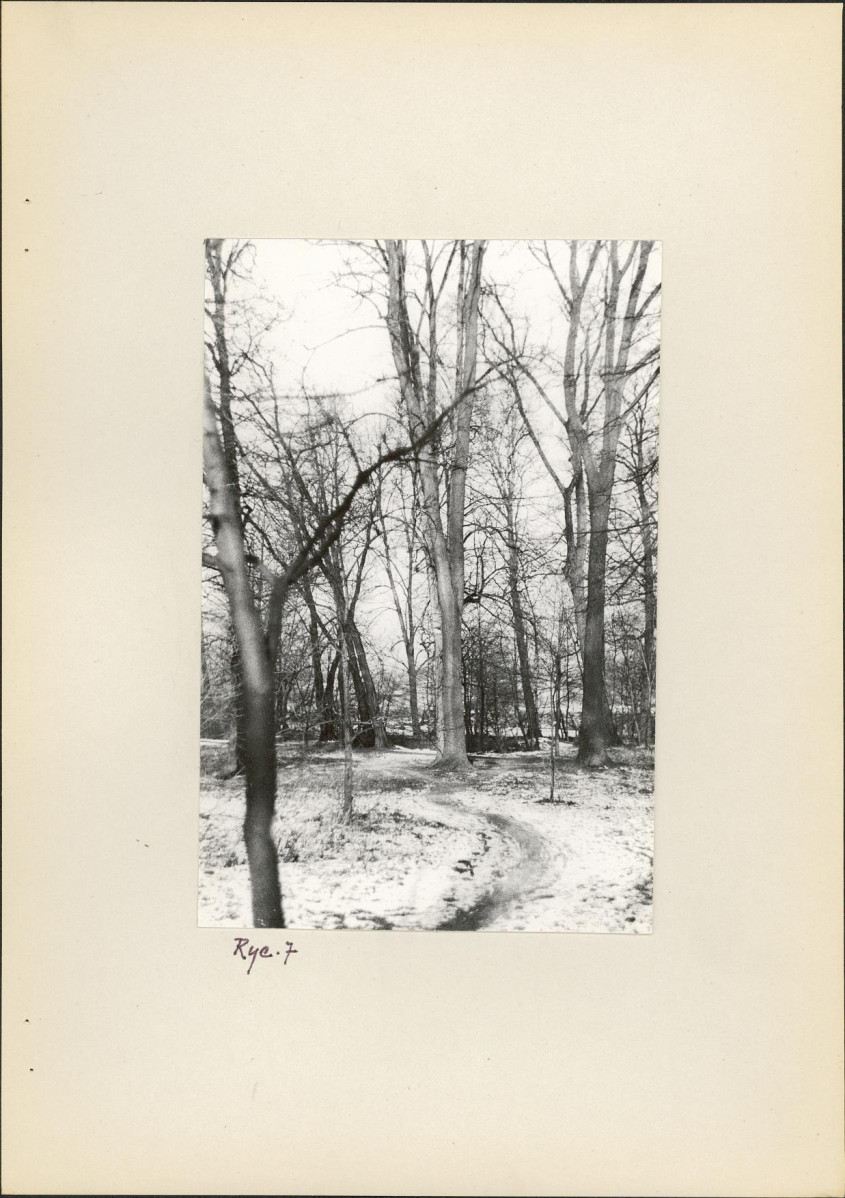 Ewidencja parkowa, skan nr 20