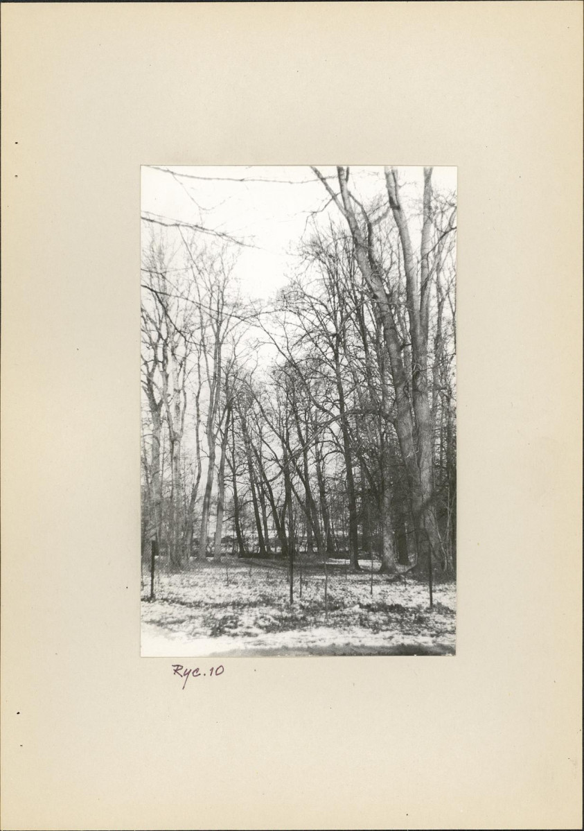 Ewidencja parkowa, skan nr 23