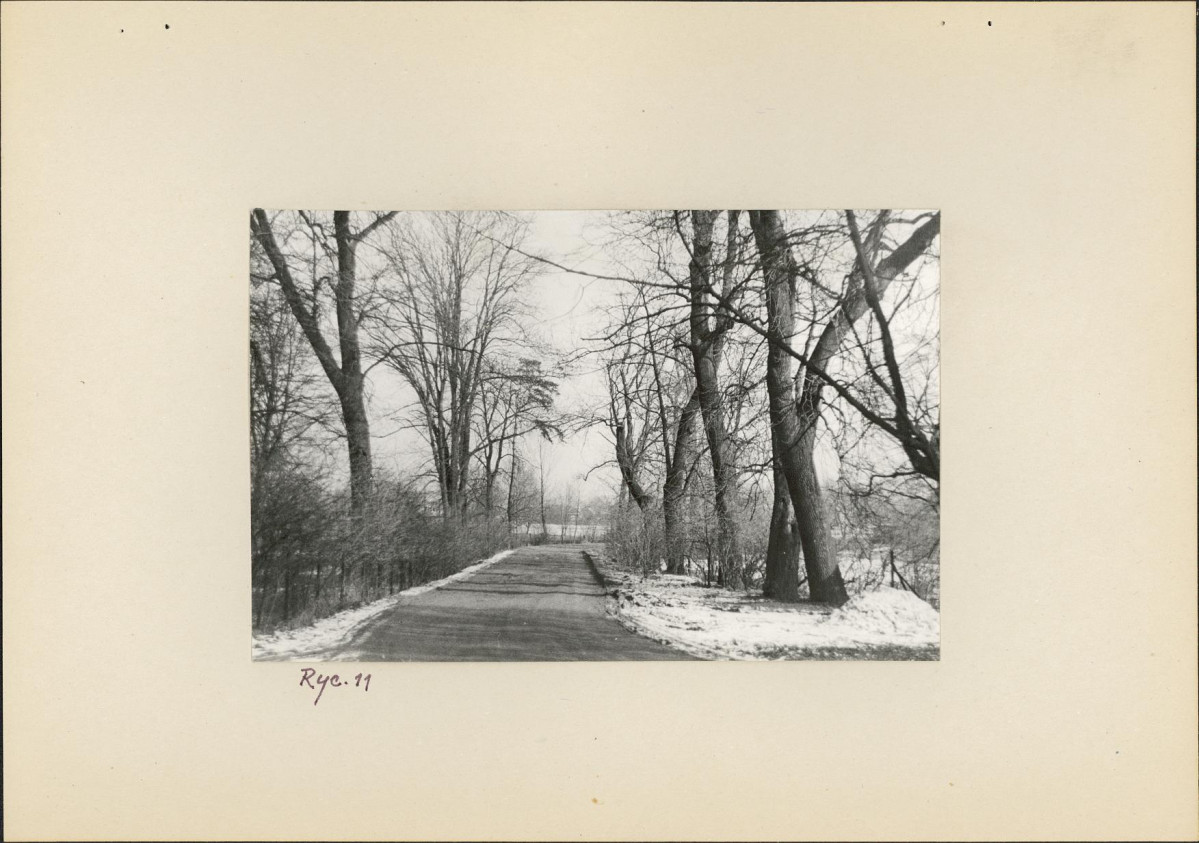 Ewidencja parkowa, skan nr 24