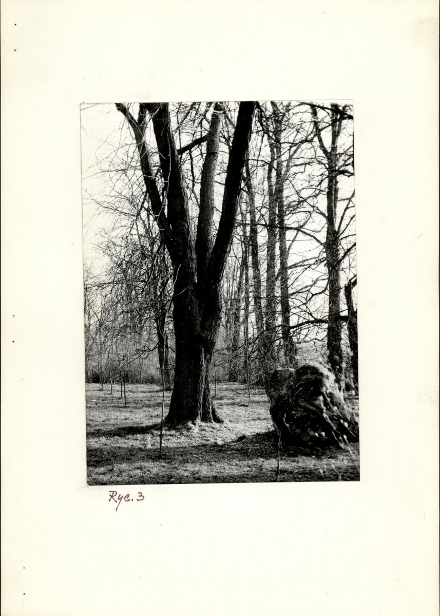 Ewidencja parkowa, skan nr 14