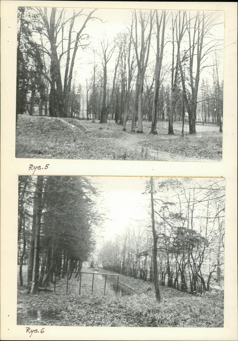 Ewidencja parkowa, skan nr 18