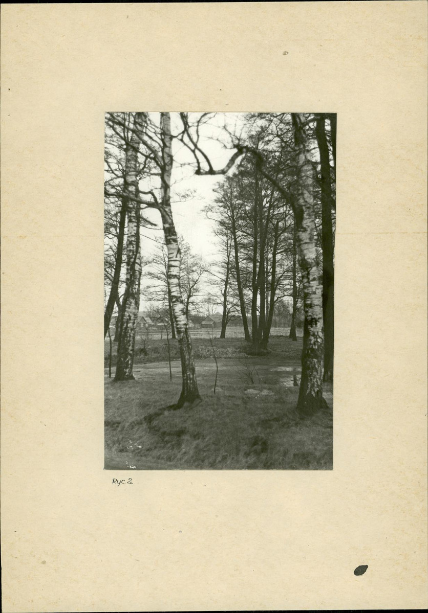 Ewidencja parkowa, skan nr 9