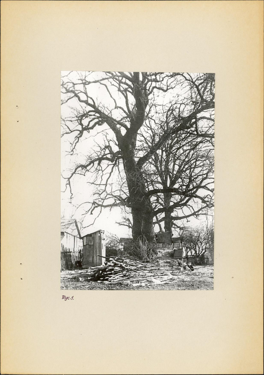 Ewidencja parkowa, skan nr 8