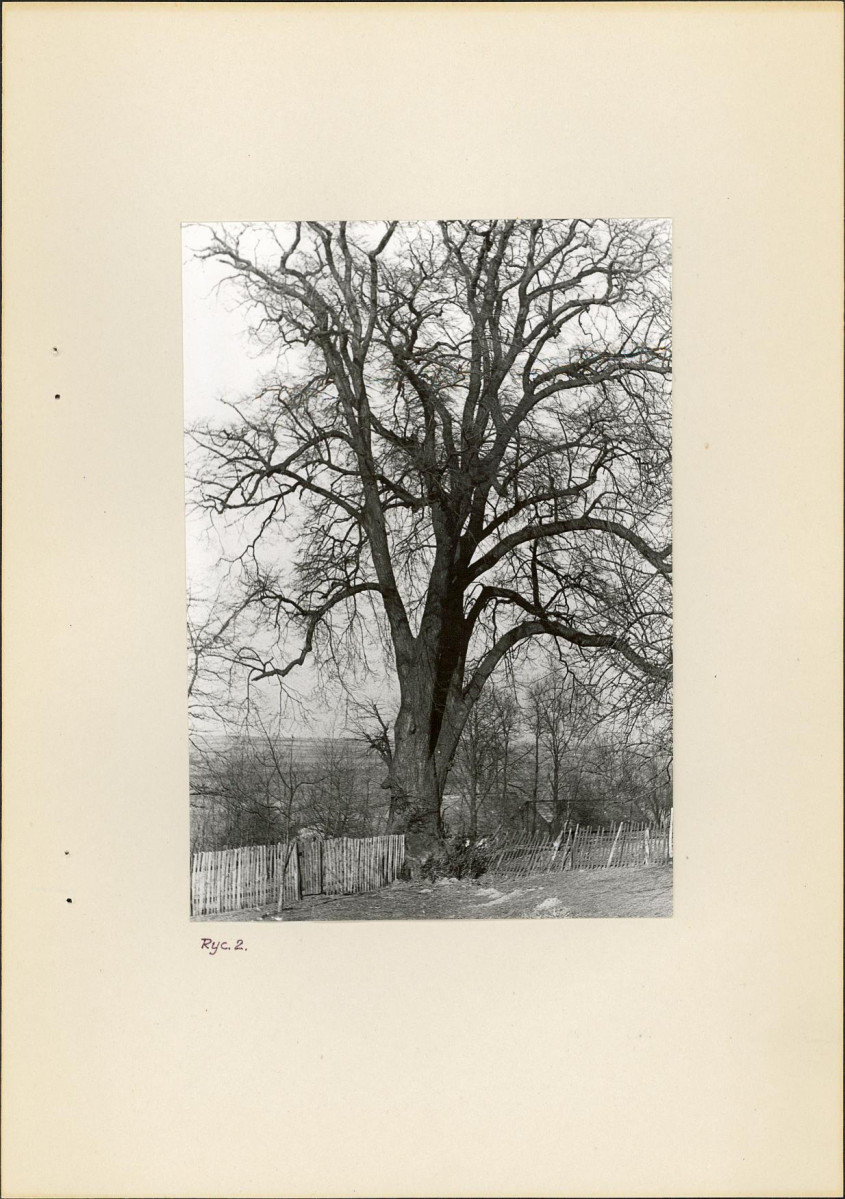 Ewidencja parkowa, skan nr 9