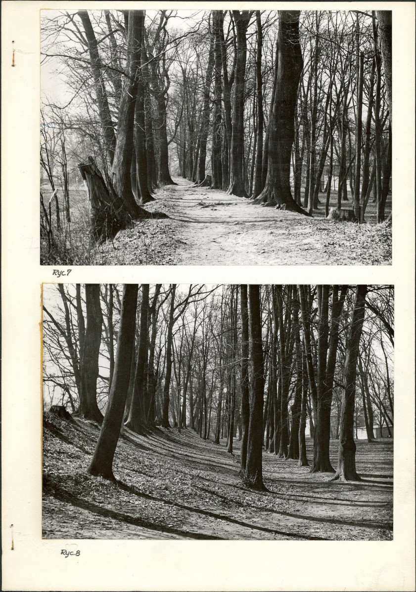 Ewidencja parkowa, skan nr 24