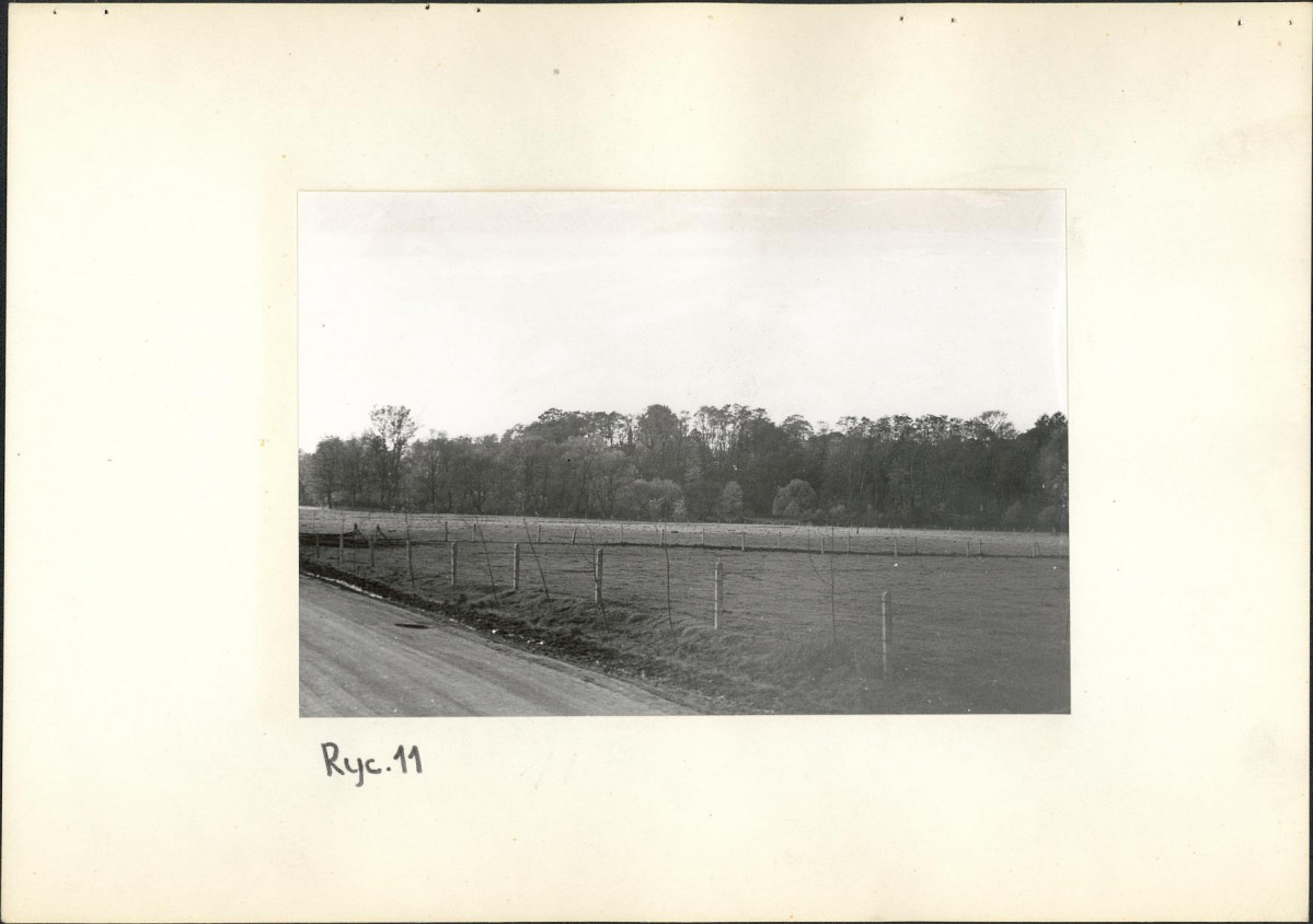 Ewidencja parkowa, skan nr 24