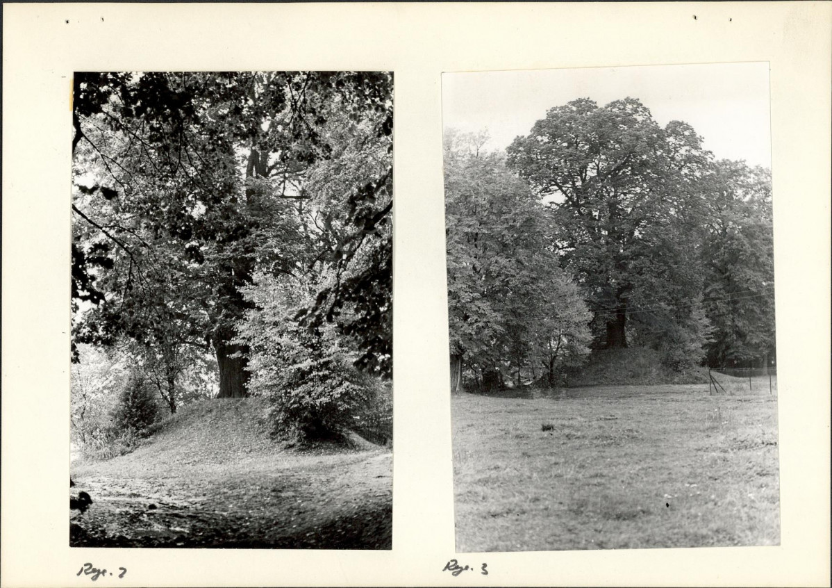 Ewidencja parkowa, skan nr 14