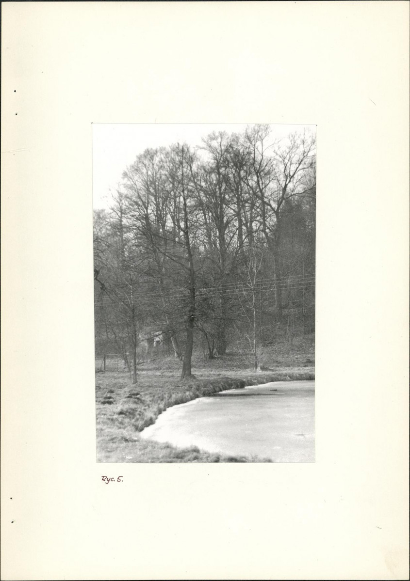 Ewidencja parkowa, skan nr 19
