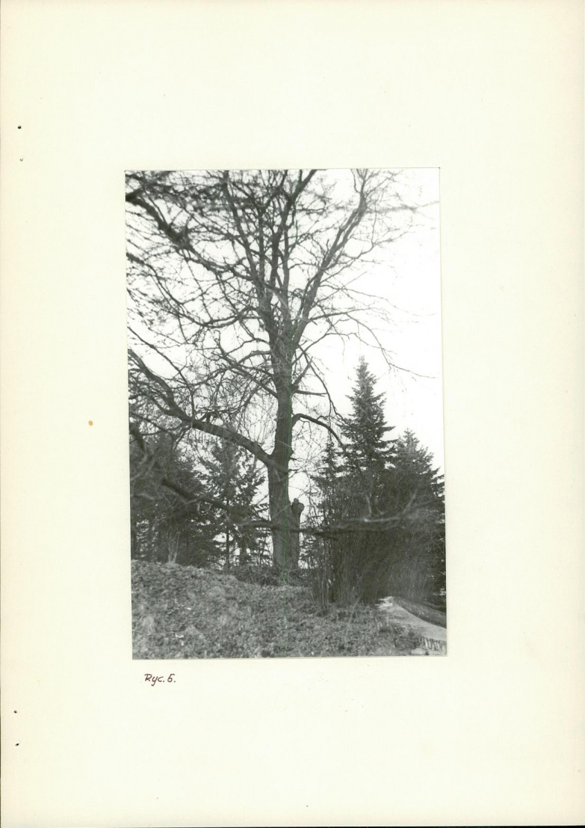 Ewidencja parkowa, skan nr 20