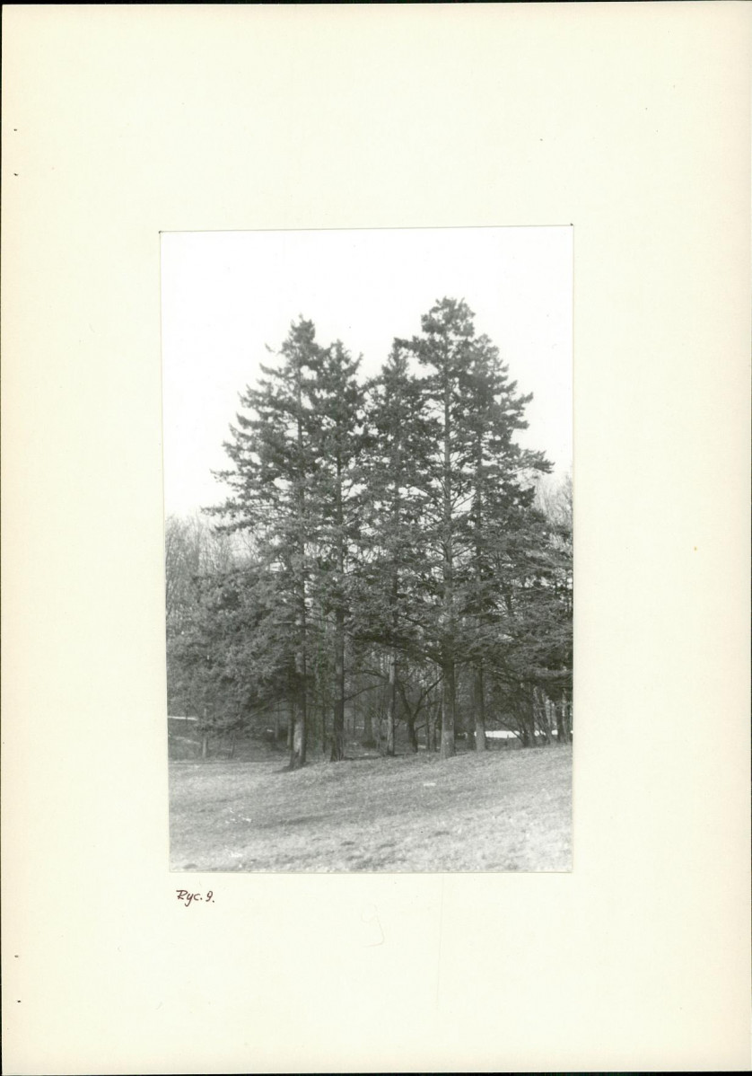 Ewidencja parkowa, skan nr 23