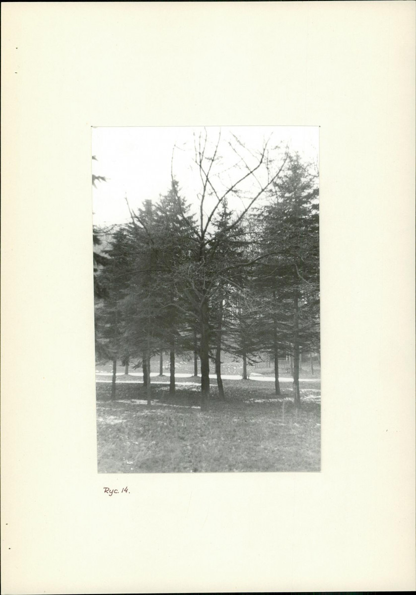 Ewidencja parkowa, skan nr 28