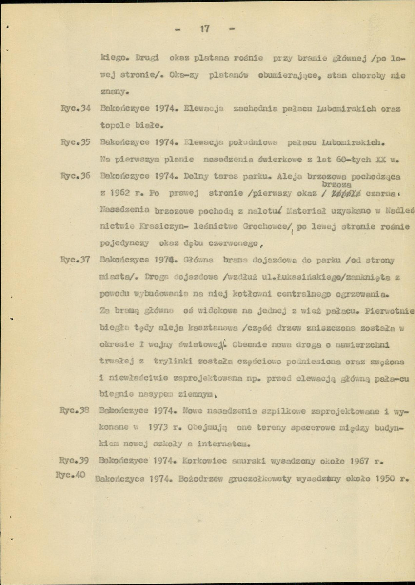 Ewidencja parkowa, skan nr 21